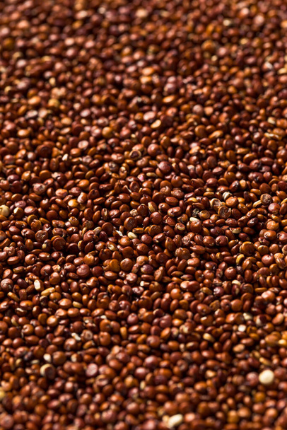 Raw Organic Red Quinoa Seed in a Bowl - Photo, image