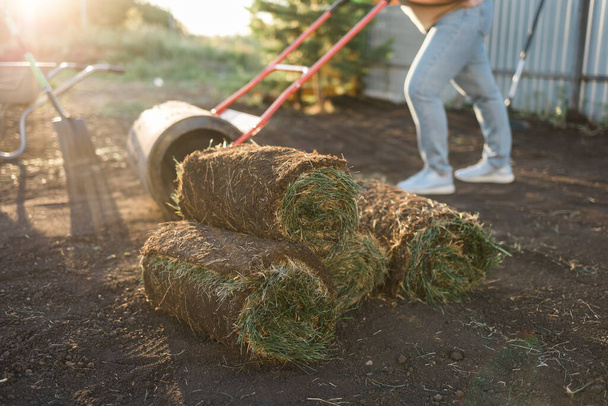 Закрыть женщину, закладывающую дрова для нового садового газона - закладка травы - Фото, изображение
