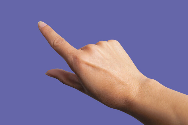 女性の手を指して押すと、紫色の背景に - 写真・画像