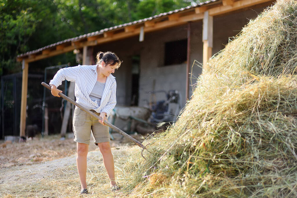 Maduro agricultor femenino convierte el heno para la vaca con apitchfork en el patio trasero de la granja. El cultivo de ganado es una dirección tradicional de la agricultura. Cría de animales - Foto, imagen