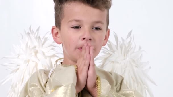 Mały chłopiec modli się w postaci anioła z białymi skrzydłami w studiu na białym. 4k wideo - Materiał filmowy, wideo