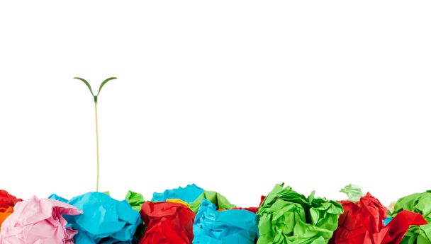 Paper recycling concept with seedlings on white - Photo, Image