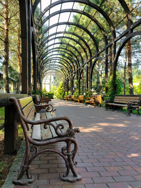 In a city park, a long arched alley in the perspective of a decorative tunnel with rows of benches on the sides - Foto, afbeelding