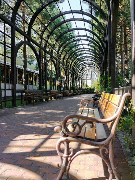 In a city park, a long arched alley in the perspective of a decorative tunnel with rows of benches on the sides - Foto, Bild