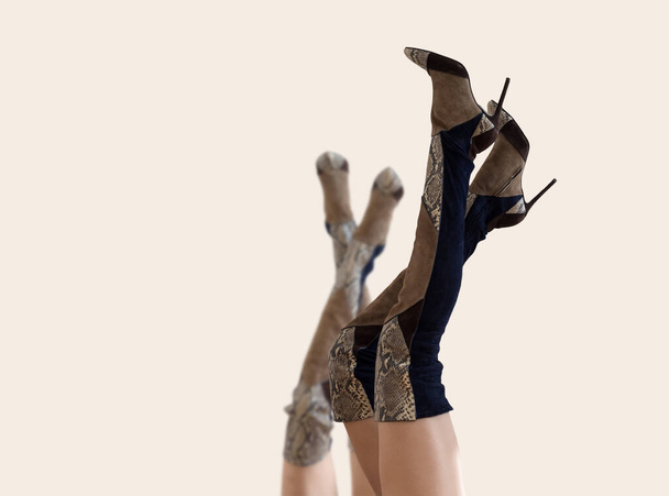 Set de Femail Elegante bota alta femenina de gamuza marrón con tacón alto. Fondo concepto de moda. - Foto, imagen
