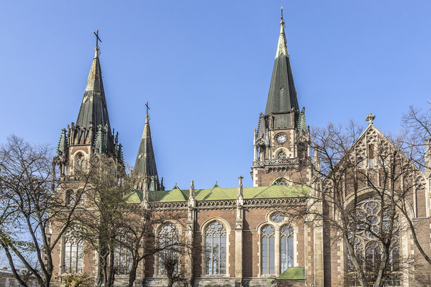 大聖堂の聖人のオルガとエリザベス、リヴィウ、ウクライナ - 写真・画像