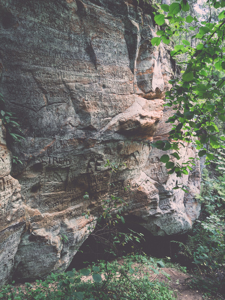 ancient sandstone cliffs in the Gaujas National Park, Latvia - v - Fotoğraf, Görsel