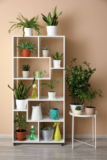 Table and shelving unit with different houseplants near beige wall - Photo, Image