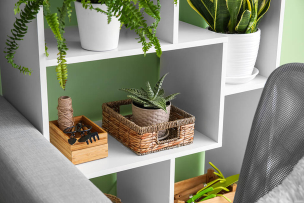Kast met verschillende kamerplanten in de buurt van groene muur - Foto, afbeelding