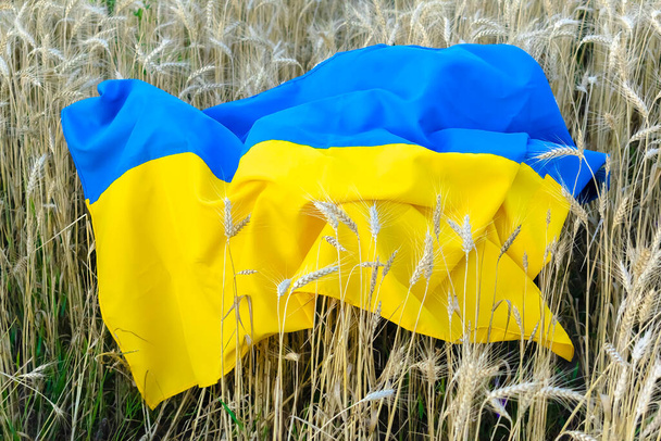 Buğday tarlasında yatan Ukrayna ulusal mavi ve sarı renkli bayrak. Askeri Rus istilası. Ukrayna Bağımsızlık, Bayrak, Anayasa, Kiev Günü. Vatanseverlik, milliyet kavramı. - Fotoğraf, Görsel
