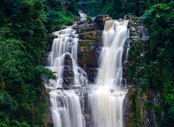 Sri Lanka
 - Valokuva, kuva