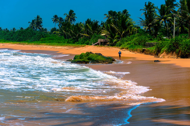 Sri Lanka
 - Foto, Imagem