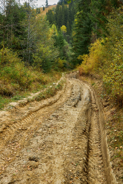 Land onverharde weg door het bos met grote modderige plassen na regen - Foto, afbeelding