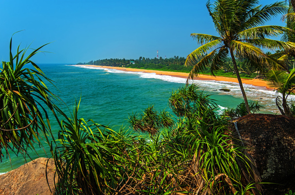 Шрі-Ланка
 - Фото, зображення