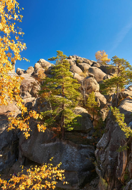 Dovbush rocks, group of rocks, natural and man-made caves carved into stone in the forest, named after the leader of the opryshky movement Oleksa Dovbush. - Foto, Imagem