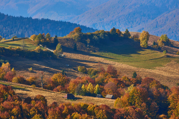 górski jesienny krajobraz z kolorowym lasem - Zdjęcie, obraz