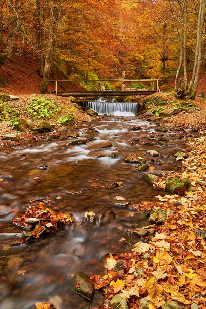 Мост через быстрый поток в осеннем лесу. Осенний вид на реку. - Фото, изображение