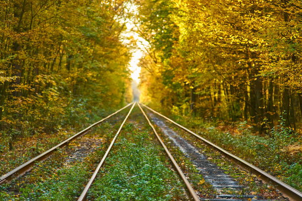Terk edilmiş tren sonbahar renkli ağaçlar altında. Aşk tüneli. Arka plan bulanık - Fotoğraf, Görsel