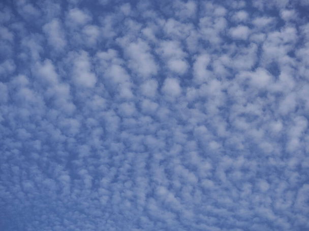 Blue sky background with clouds. Curly clouds all over the sky - Fotografie, Obrázek