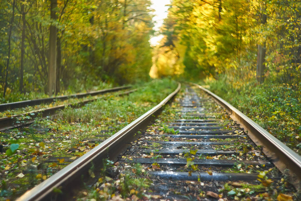 Verlassene Eisenbahn unter herbstlich gefärbten Bäumen. Tunnel der Liebe. verschwommener Hintergrund - Foto, Bild