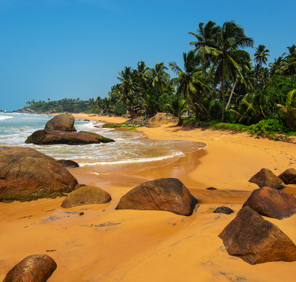 Sri lanka - Foto, Bild