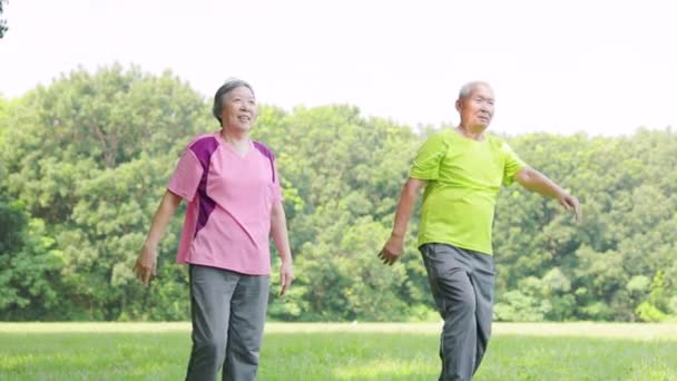 Ηλικιωμένο ζευγάρι άσκηση και το χέρι τεντώνεται στο πάρκο  - Πλάνα, βίντεο