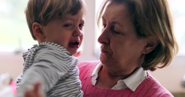 Abuela consolando llorando bebé nieto abuelo sosteniendo nieto - Metraje, vídeo