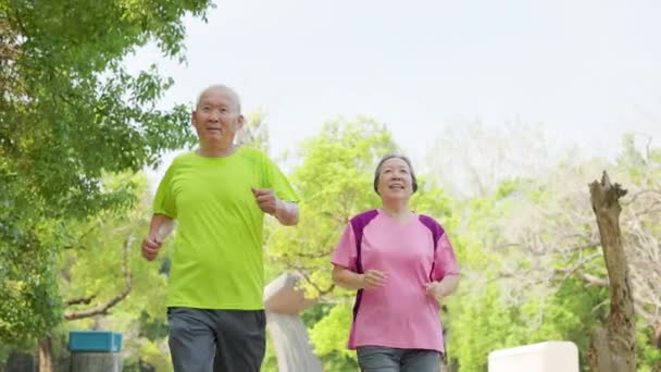 boldog idős ázsiai pár gyakorló és fut a parkban - Felvétel, videó