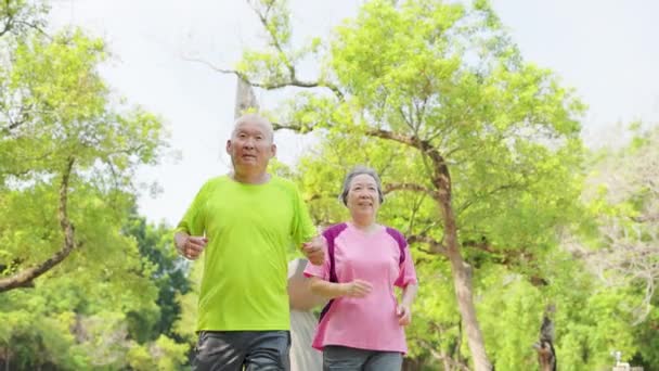 gelukkig senior aziatisch paar oefenen en lopen in het park - Video