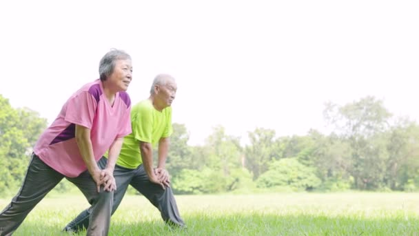 Coppia anziana che si allena e si allunga al ginocchio nel parco  - Filmati, video