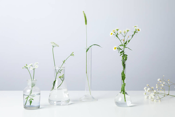 白いテーブルの上に花と研究室のガラス製品 - 写真・画像