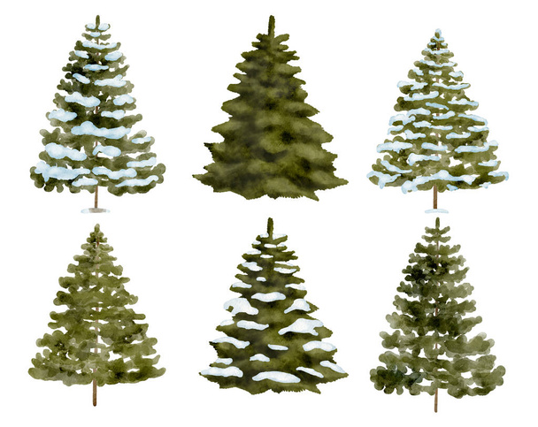 Υδατογραφία χιονισμένα έλατα σετ. Χέρι ζωγραφισμένο χριστουγεννιάτικο δέντρο με και χωρίς χιόνι απομονώνονται σε λευκό φόντο. Αειθαλές δάσος ερυθρελάτης. Στοιχεία χειμερινού τοπίου - Φωτογραφία, εικόνα