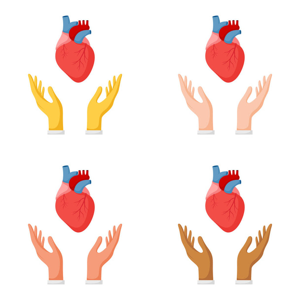 Set of hands gestures with human heart - Vector, Image