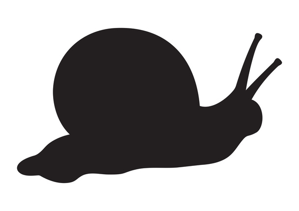 Black snail - Vector, Image