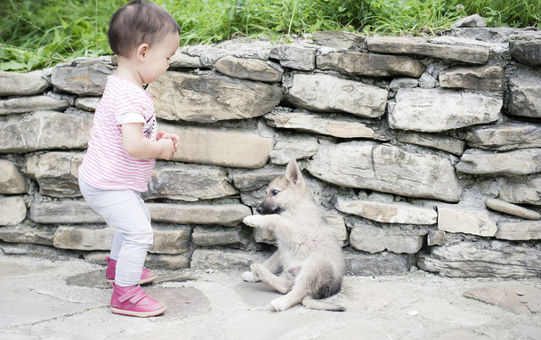A baby playing with a little puppy - Photo, Image