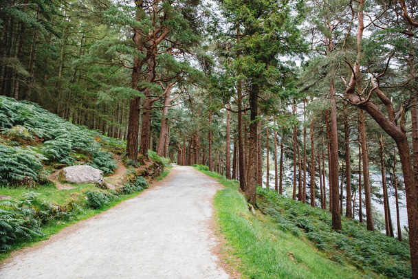 Idyllinen näkymä Glendalough Valleyn metsään kävelypolulla, County Wicklow, Irlanti. Vuoret, järvi ja turistit kävelyreittejä. - Valokuva, kuva