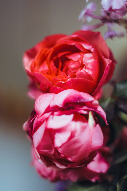 bouquet of bright rose flowers, geraniums in a blue vase on the table, an orange, petals. natural light, close-up, beautiful background, textures. - Fotó, kép
