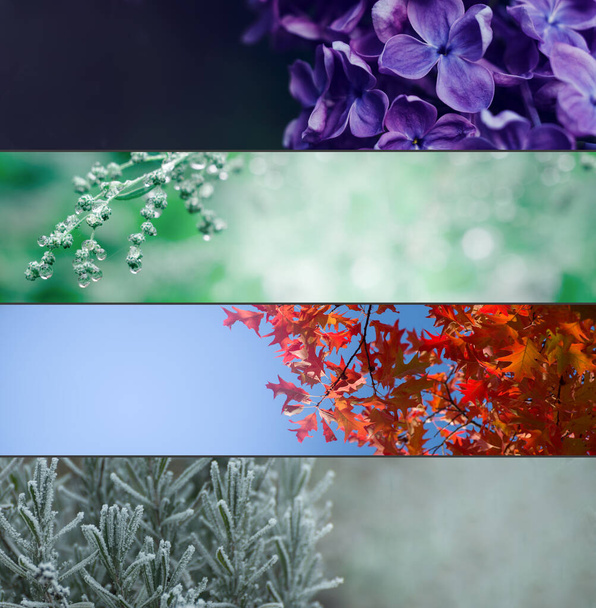 Four Seasons Banners Set. Colección de Primavera Verano Otoño e Invierno fondos naturales en formato ancho con espacio de copia borrosa. - Foto, imagen