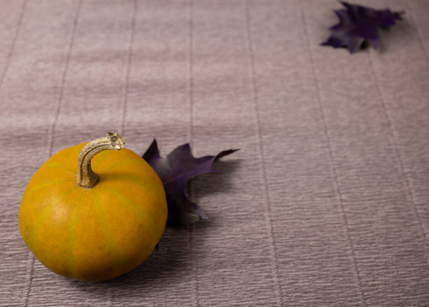 Textured autumn background with pumpkin - Photo, Image