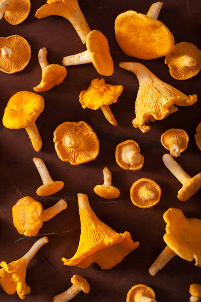 сырые свежие грибы лисички плоские лежали на темном фоне
 - Фото, изображение