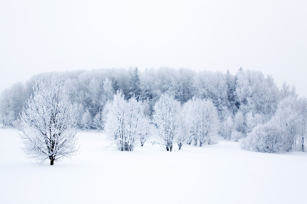 Winter landscape - Φωτογραφία, εικόνα