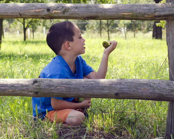 Niño comiendo pera en el jardín
 - Foto, imagen