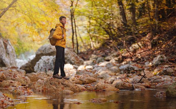 Travel and road trip concept at autumn. Adventure and active lifestyle in nature. Tourist hiking in forest. Caucasian man in yellow jacket walks in woods. - Zdjęcie, obraz