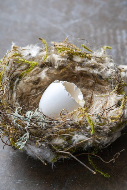 closeup or macro of a small wild hatched egg and nest - Valokuva, kuva
