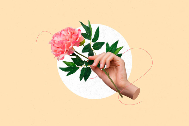 Creative trend collage of woman hand holding gentle pink peony flower bloom blossom spring tenderness romantic lady drawing background. - Foto, imagen