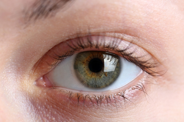 Female eye close-up  - Foto, Imagen