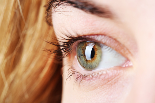 Female eye close-up  - Foto, imagen