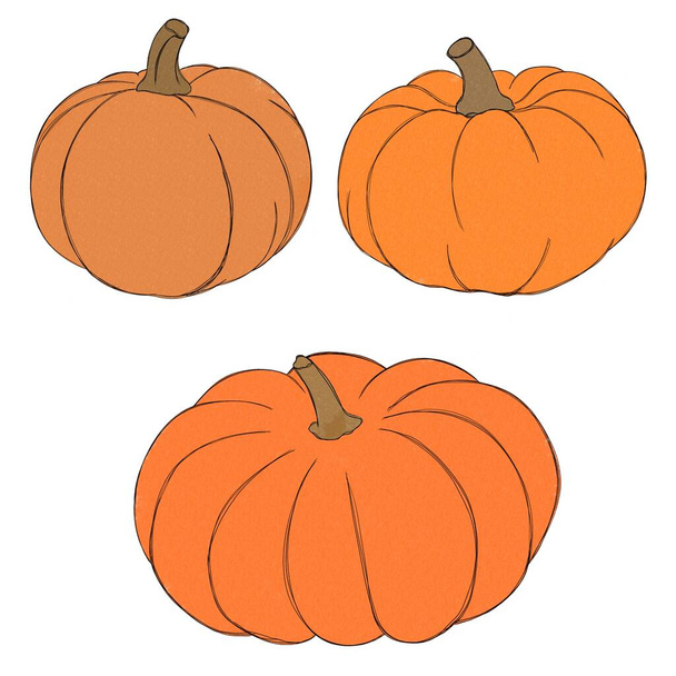 Pumpkin watercolor drawing free hand. Pumpkin for Thanksgiving. Bright pumpkin for Halloween - Photo, Image