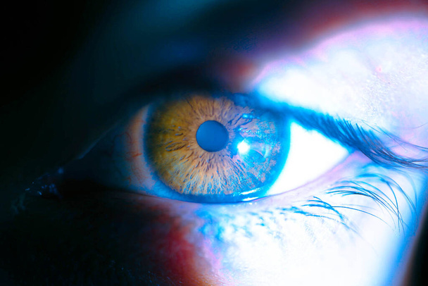Belo macro close-up tiro de olhos profundos de um humano - Foto, Imagem