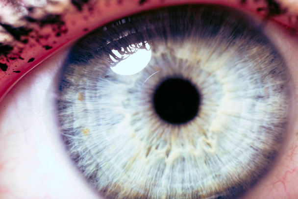 Beautiful macro closeup shot of a human's deep eyes - Foto, Imagen